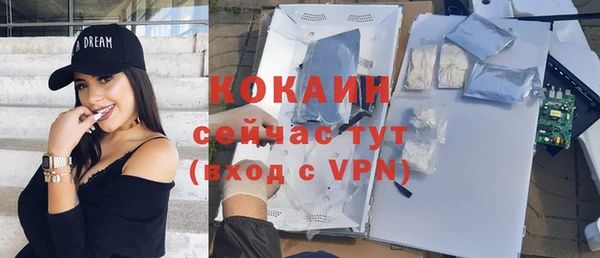 альфа пвп Няндома