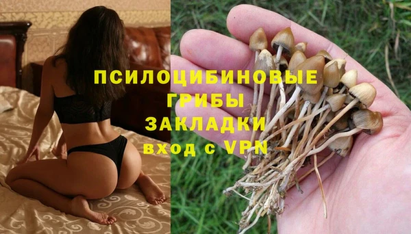 стаф Нягань