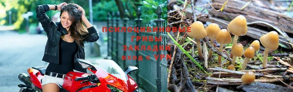 альфа пвп Няндома